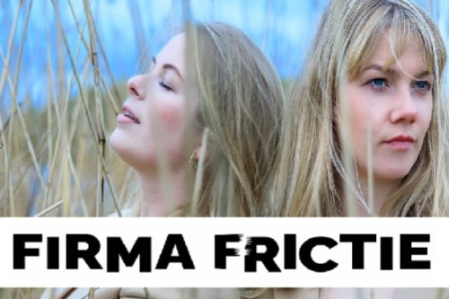 Firma Frictie foto