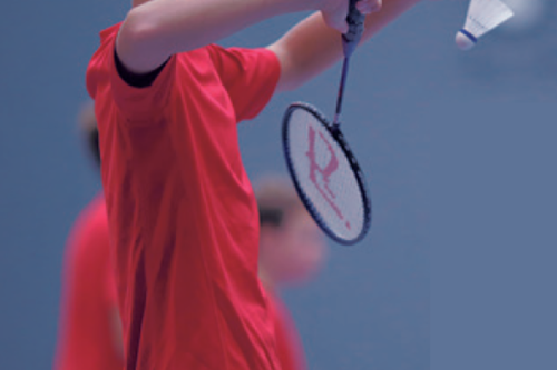 Scholen Badminton Toernooi 